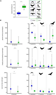 Bats adjust echolocation and social call design as a response to urban environments